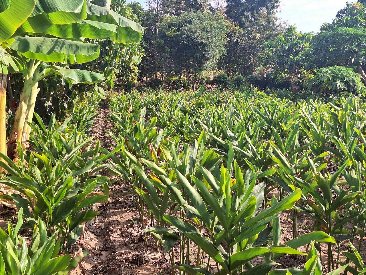 title - ผู้ตรวจราชการ ส.ป.ก. ประชุมตรวจราชการและติดตามความก้าวหน้าผลการดำเนินงานตามแผนการตรวจราชการของผู้ตรวจราชการสำนักงานการปฏิรูปที่ดินเพื่อเกษตรกรรม ประจำปีงบประมาณ พ.ศ. 2569 รอบที่ 1 เขตตรวจราชการที่ 12 จังหวัดกาฬสินธุ์